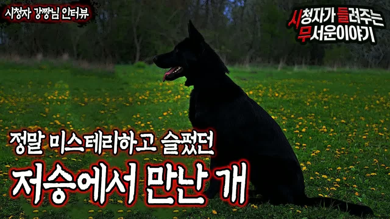 무서운이야기 실화 어머니가 저승에서 만난 개ㅣ강짱 님 사연ㅣ돌비공포라디오ㅣ괴담ㅣ미스테리 인터뷰ㅣ시청자 사연