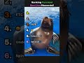 Sea lion #funny