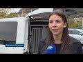 Polizeihündin rettet vermissten Rentner