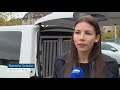 Polizeihündin rettet vermissten Rentner