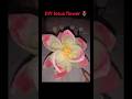 DIY lotus flower.. part-1 #creativeart #art #diycrafts #artscraft #drawing #flowercraft #craft