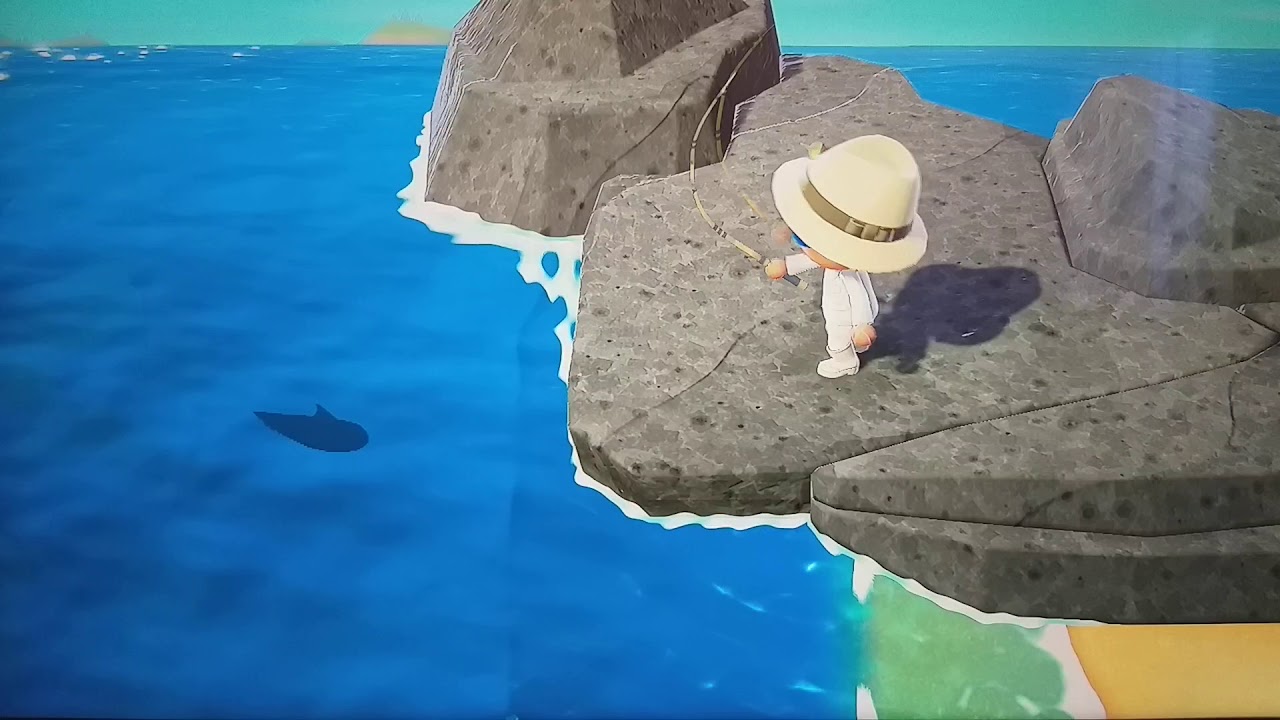 Caa Animal Crossing New Leaf Caa Animal Crossing New Leaf