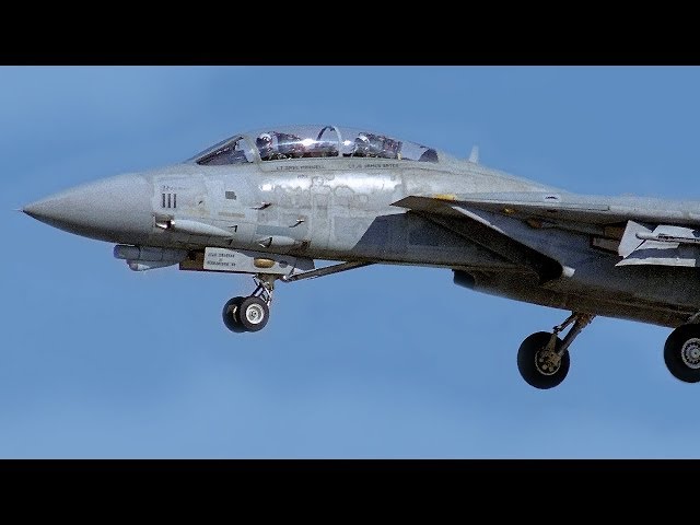 VeryHot製 VFA-154 BLACK KNIGHTS“ディカプリオ似 ” VeryHot製 VFA-154 BLACK KNIGHTS“ディカプリオ似 ” Amazon.com