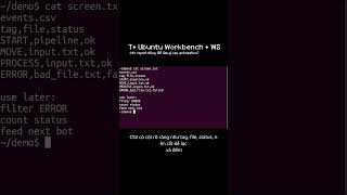 T• CSV report dùng để làm gì sau automation | Bonus (Ubuntu Workbench) #ubuntu #terminal #python