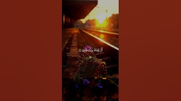 ولسوف يعطيك ربك فترضي | #القارئ #فارس_عباد #سعدالغامدي #قرآن #قران_كريم #اكسبلور |#عبودabdo1