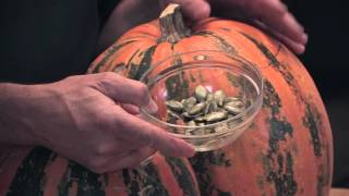 Specialty Pumpkins