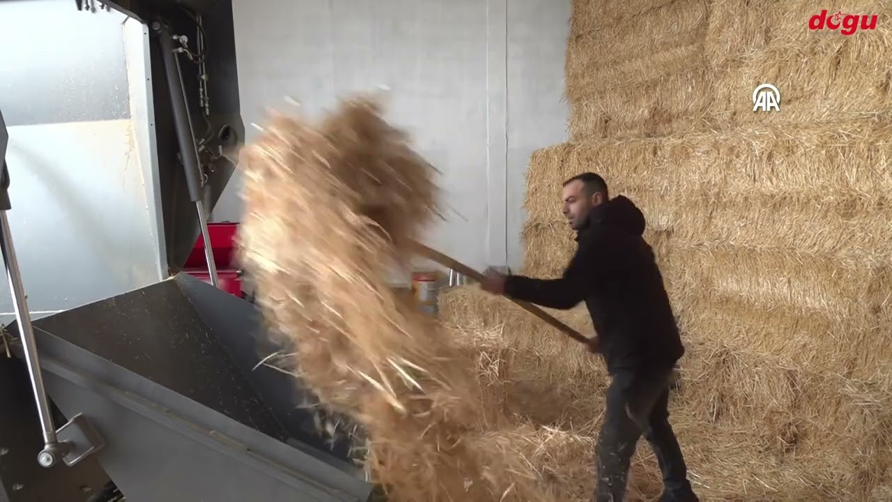 Genç Girişimciden Erzincan’a Modern Besi Tesisi