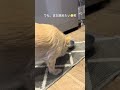 チワワ11歳。かんぺーの朝のルーティン🐶🌿✨