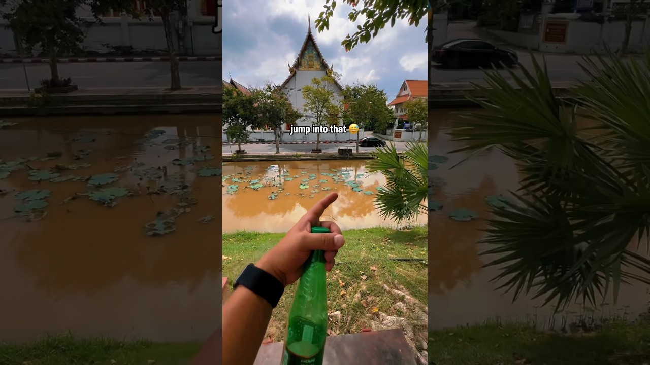 How long would it take YOU to find this hidden cache, or would this geocache be a DNF for you?! 👀