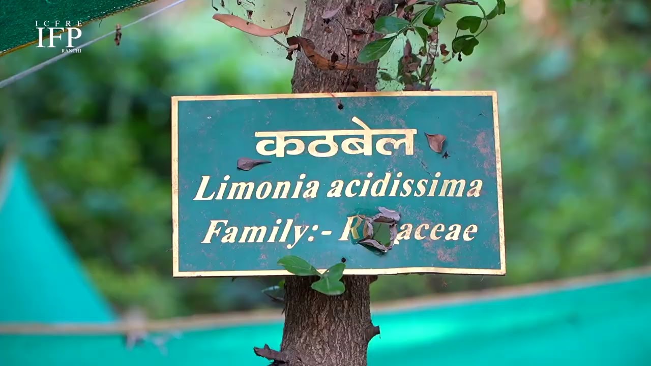 NATURE TRAIL EPISODE 03