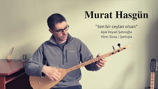Murat Hasgün - Sen Bir Ceylan Olsan Resimi