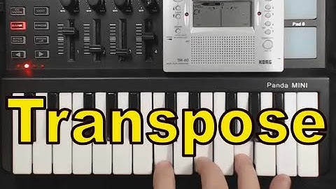 How to Transpose on the Worlde Panda Mini