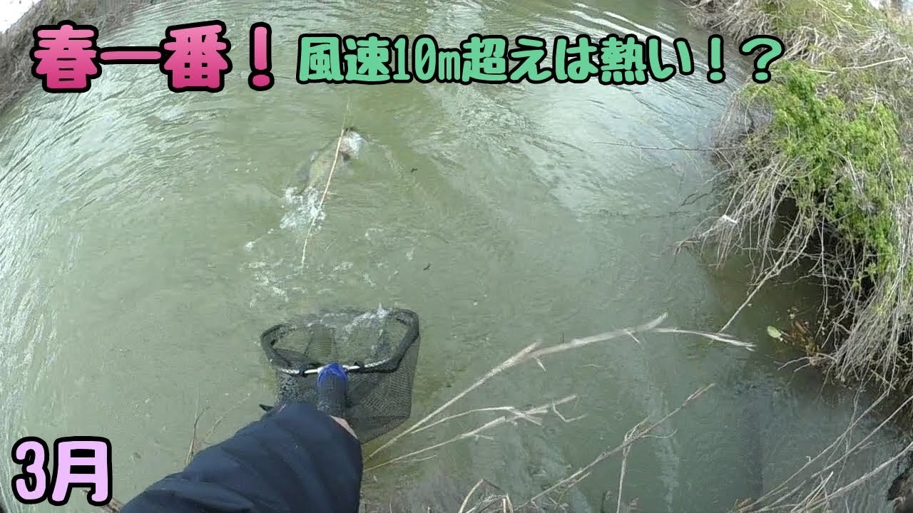 春の風速10m超えは熱い Youtube