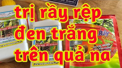 thuốc trị rầy rệp đen trắng bám trên quả na 023 236
