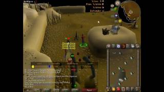 [12:32] OSRS Barbarian Assault Single Round Leech Record H