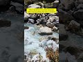 Alaknanda River India’s first village mana | delhi to Badrinath by bike avenger 220 cruise #travel