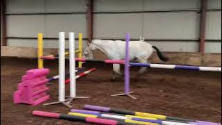 Ad ref 244464 Video 2
