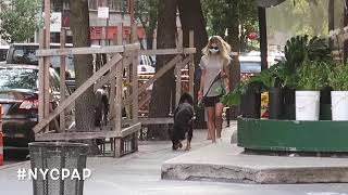 Emily Ratajkowski takes her dog for a walk in Tribeca, NYC