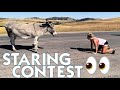 TEEN FACES OFF WITH A DONKEY IN THE MIDDLE OF THE ROAD  *what happens next is crazy!*