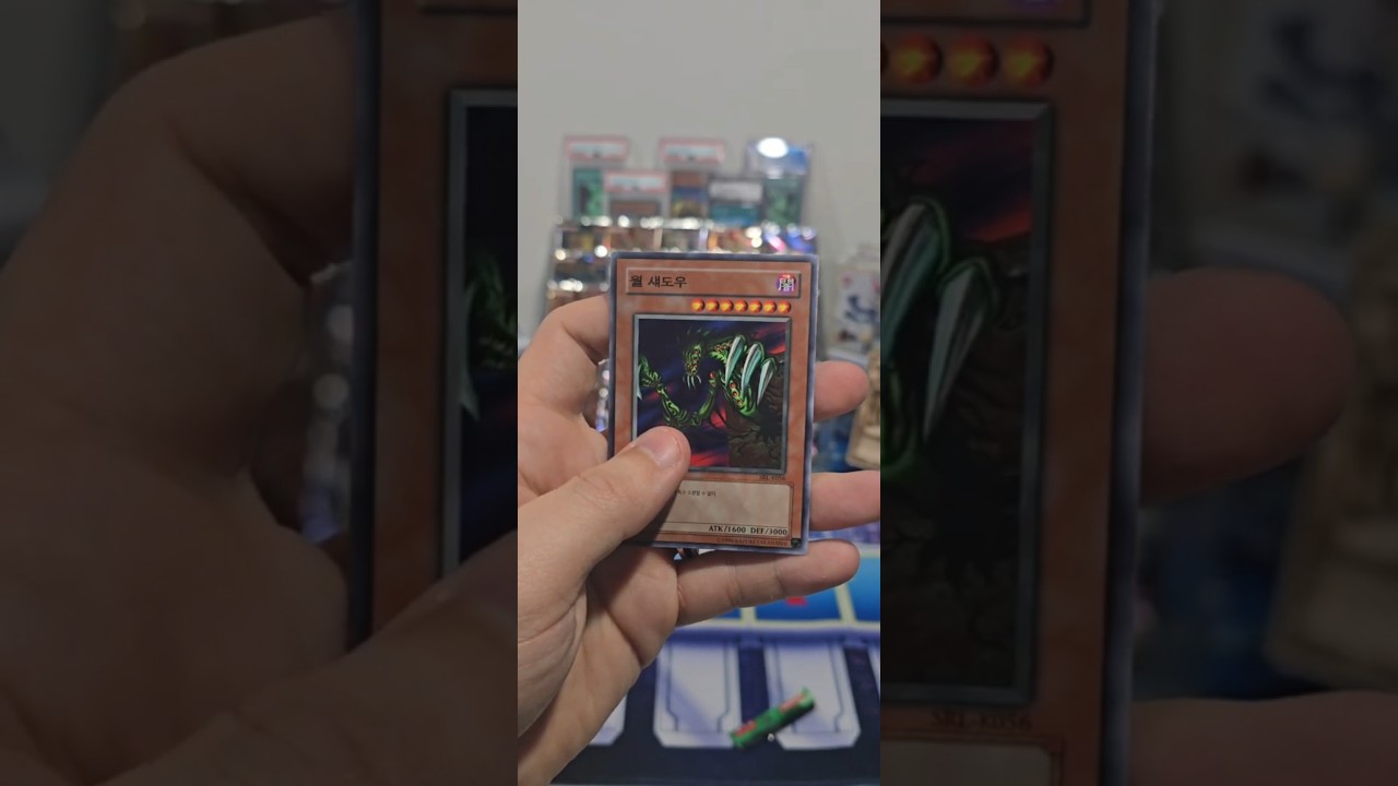 Trying to Complete a Spell Ruler Master Set in One Box