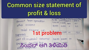 common size statement of profit and loss account 1st problem