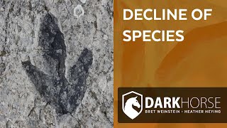 What climate change sceptics often get wrong (from Livestream #205)