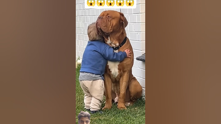 Heartwarming Moment as Child Embraces Dog Companion #shortvideo #youtubeshorts #shortsfeed