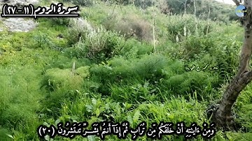 (فَسُبْحَانَ اللَّهِ حِينَ تُمْسُونَ وَحِينَ تُصْبِحُونَ) تلاوة من سورة الروم للشيخ عبدالله الموسى