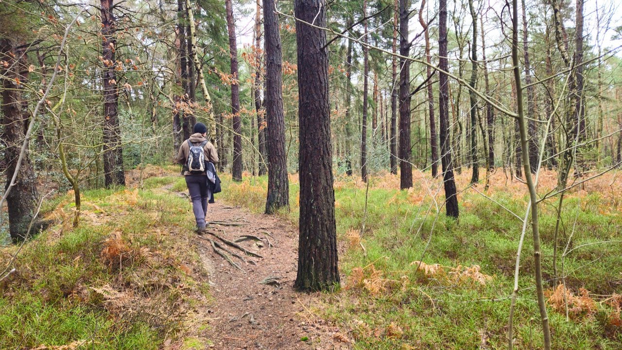 Der Goldener Steinbruch u der Moonshine