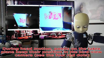 Autonomous table-cleaning from kinesthetic demonstrations using Deep Learning