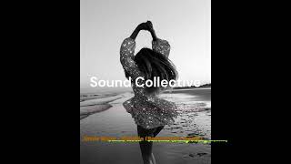 Jamie Woon - Shoulda (Samy Chelly Remix)