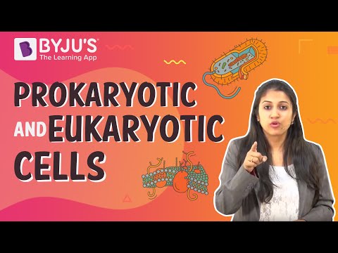 Video: Jaká je definice prokaryotických a eukaryotických buněk?
