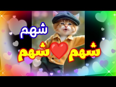 اغنية باسم شهم اغنيه اسم شهم اغنيه شهم شهم شهم الجزائر فلسطين السعودية العراق البحرين الكويت