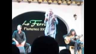 Capullo De Jerez Por Bulerias En Lo Ferro(Murcia)2013-Bulerias