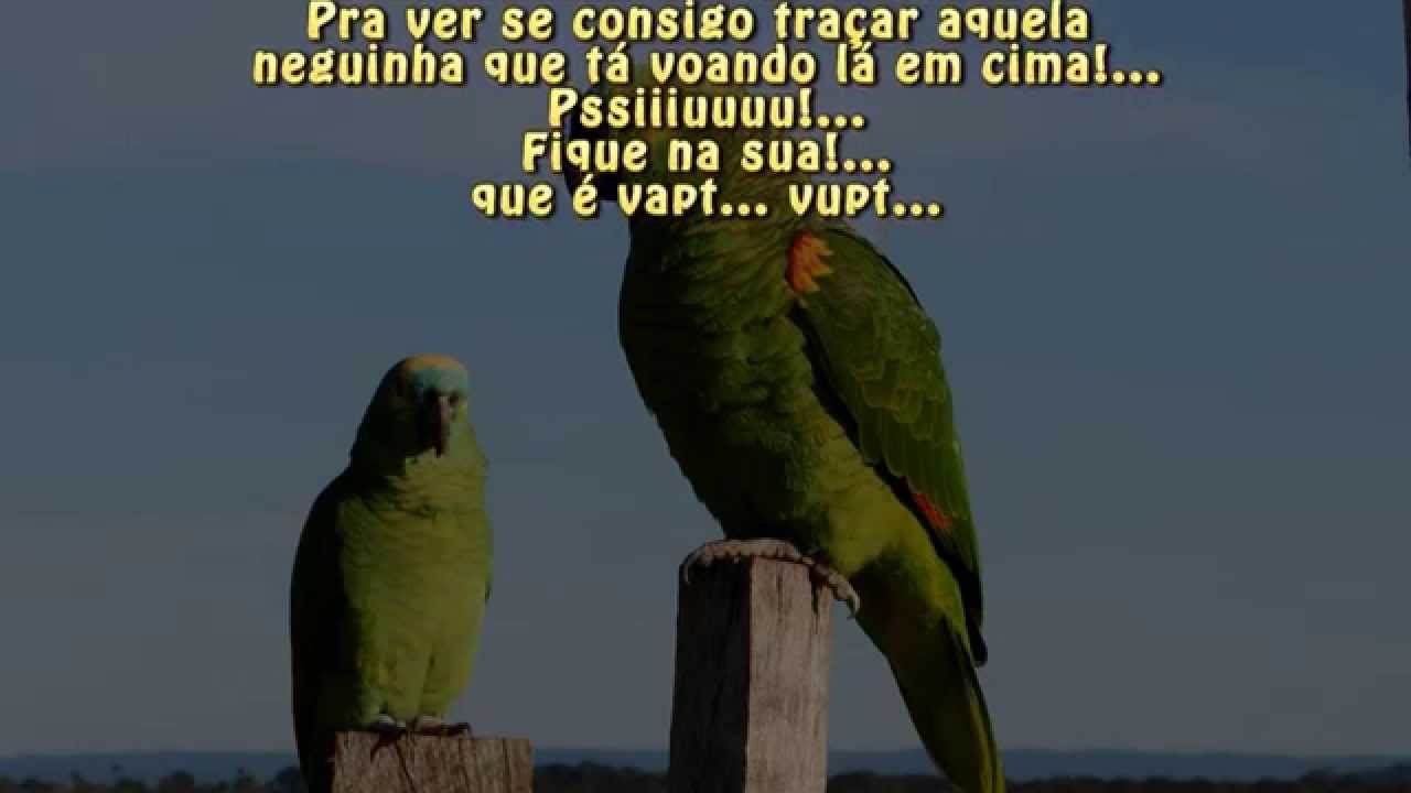 Piadas, O papagaio e o urubu, Causos caipira, YouTube