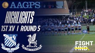 Riverview V Newington II AAGPS Round 5 2026 II 1ST XV Highlights