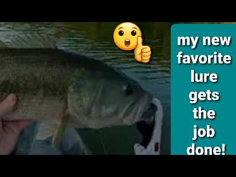 Bass fishing going as planned on this day! Go fishing, youll have fun even if they're not biting ❤