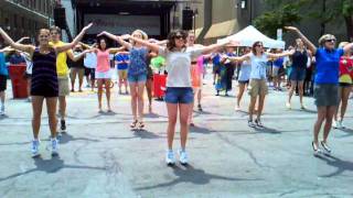 Information Taste of Buffalo, Flash Mob, July 10, 2011 News