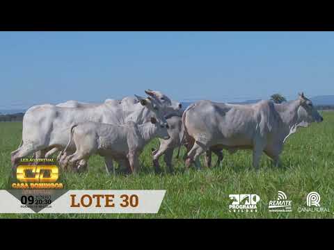 LOTE 30