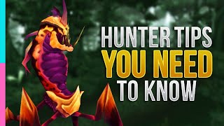 TBC Hunter Essential Guide : Burning Crusade Primer | WoW TBC Classic