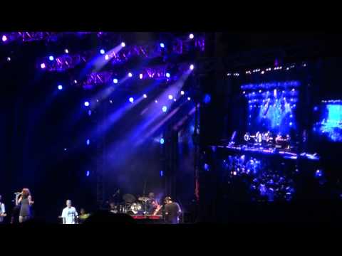 Latido ManHanD - #TAMF
