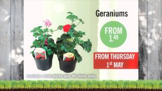 Green-fingered greatness with Lidl's Garden Madness offers