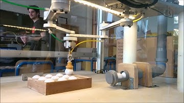 Scara parallelo ITS Meccatronico