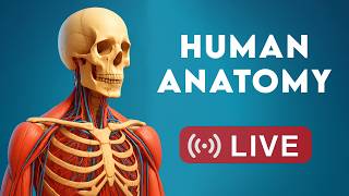 🔴 Inside Us Live: Human Anatomy & Organ Systems