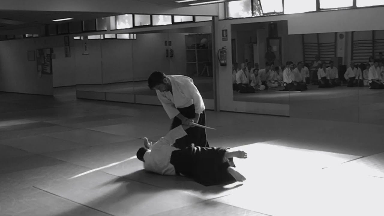 Curso de Aikido impartido por Yasunari Kitaura Shihan y Shu Kitaura Sensei. Julio de 2018 Guadarrama