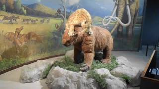 Animatronic Mammoth, Giant Sloth, and a vicious Sabre Tooth Cat