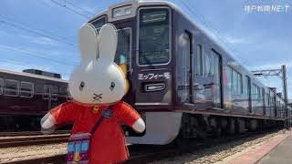 窓にも扉にも「ミッフィー」 阪急電鉄 ラッピング電車運行開始 神戸