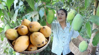 Have You Ever Eaten Ripe Mango With Sticky Rice? / Sweet Ripe Mango Recipe / Cooking With Sreypov