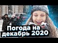 Погода в Украине до конца 2020 года: самые теплые и холодные дни декабря