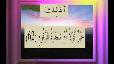 القرآن الكريم سورة الصافات الأية  62